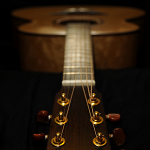 可以看爱爱视频的网站
